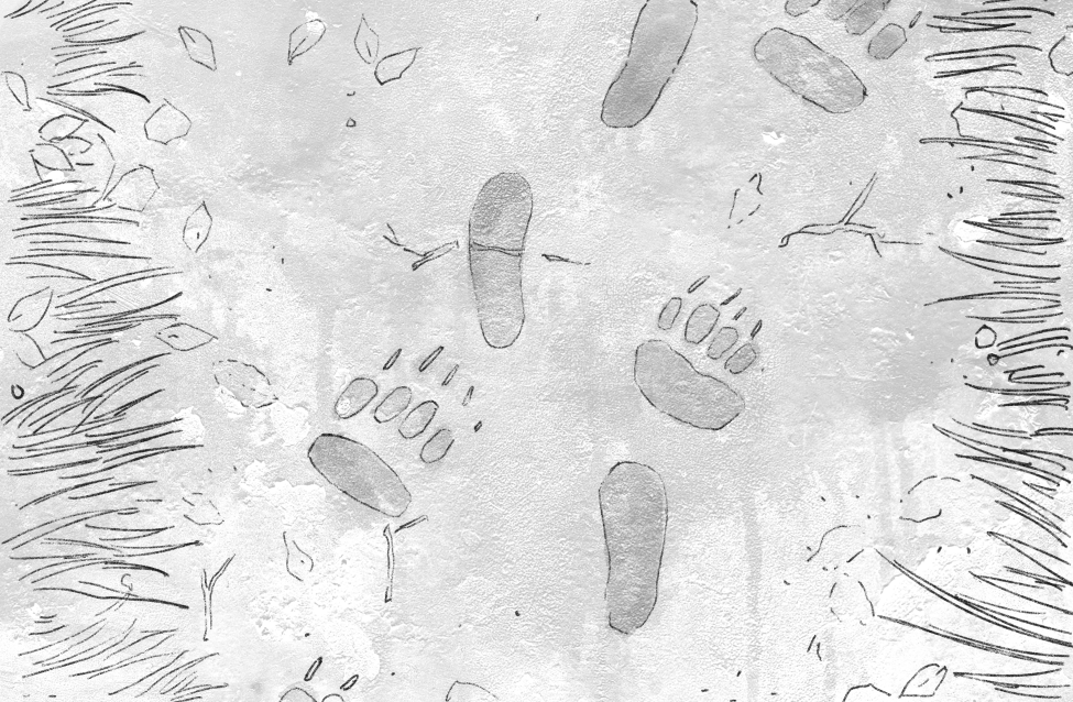 Chapter 7 – Part 2: Bears and Bandits